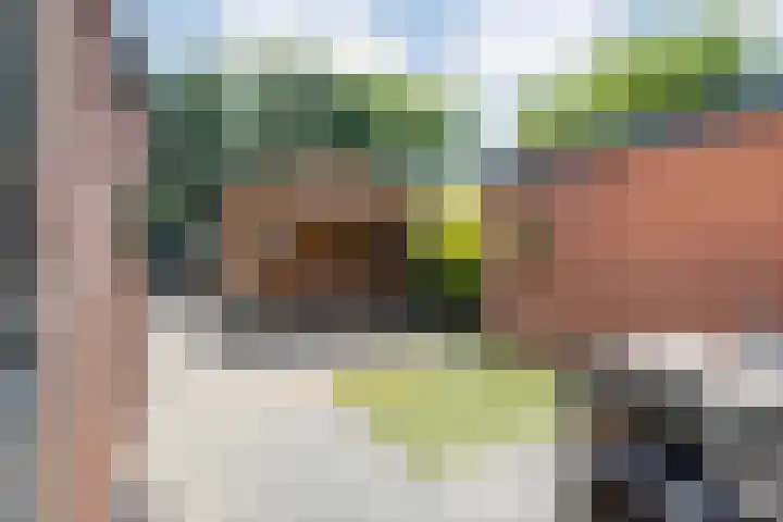 Nachtegaalstraat 22 Hardenberg thumbnail 32