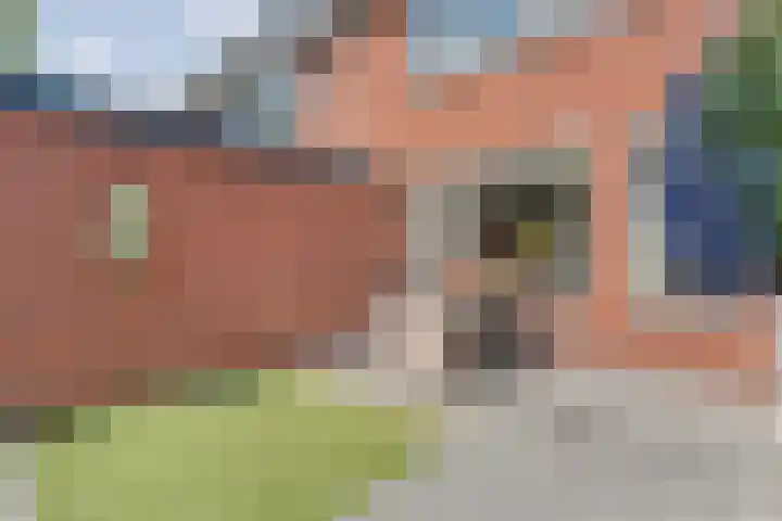 Nachtegaalstraat 22 Hardenberg thumbnail 33