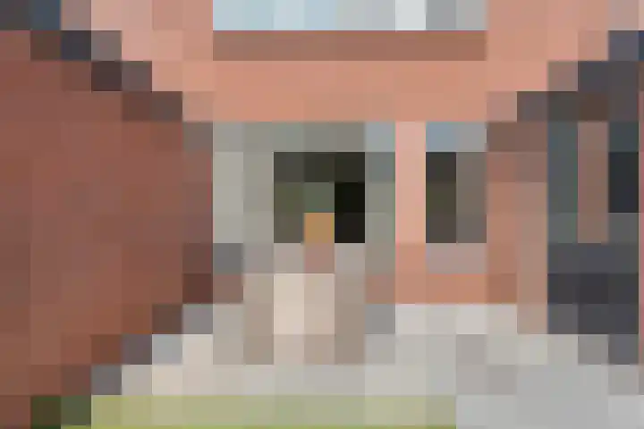 Nachtegaalstraat 22 Hardenberg thumbnail 34