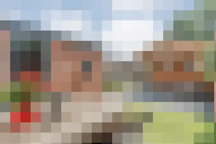 Nachtegaalstraat 22 Hardenberg thumbnail 35