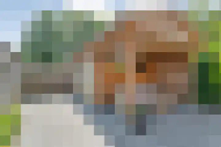 Nachtegaalstraat 22 Hardenberg thumbnail 36