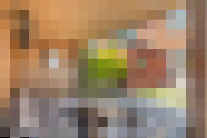 Nachtegaalstraat 22 Hardenberg thumbnail 37