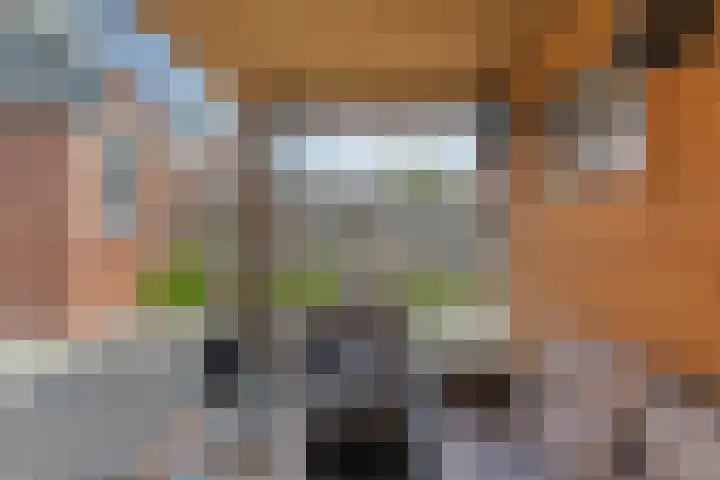 Nachtegaalstraat 22 Hardenberg thumbnail 38