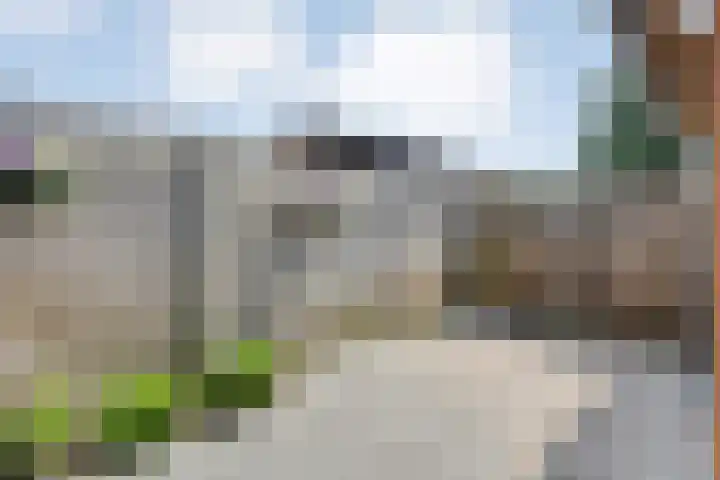 Nachtegaalstraat 22 Hardenberg thumbnail 39