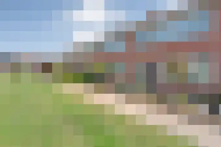 Nachtegaalstraat 22 Hardenberg thumbnail 4