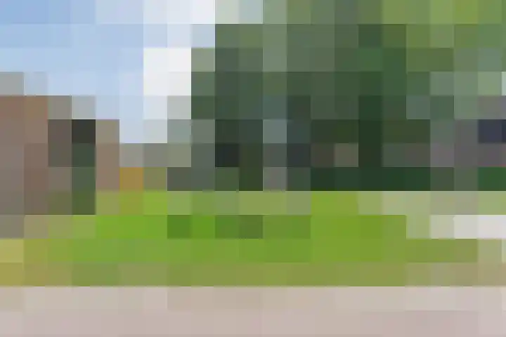 Nachtegaalstraat 22 Hardenberg thumbnail 41