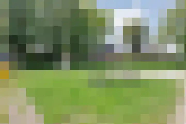 Nachtegaalstraat 22 Hardenberg thumbnail 42