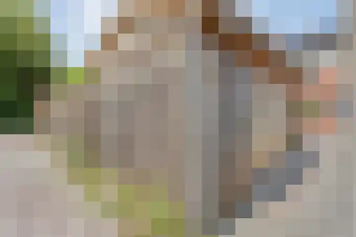 Nachtegaalstraat 22 Hardenberg thumbnail 43