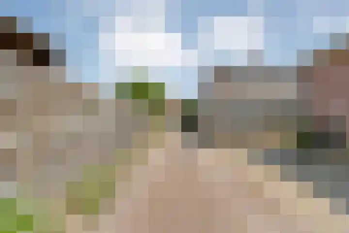 Nachtegaalstraat 22 Hardenberg thumbnail 44