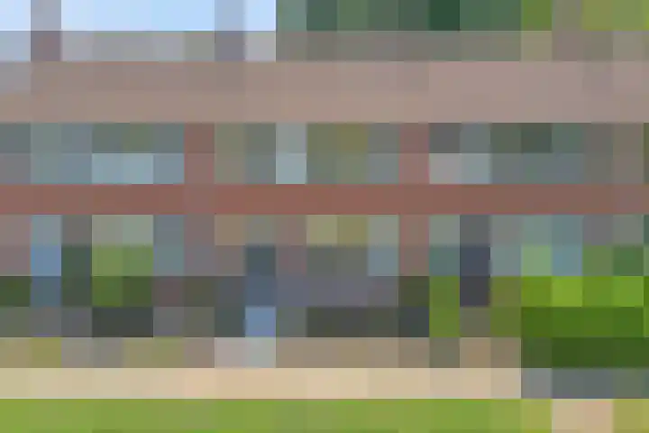 Nachtegaalstraat 22 Hardenberg thumbnail 46