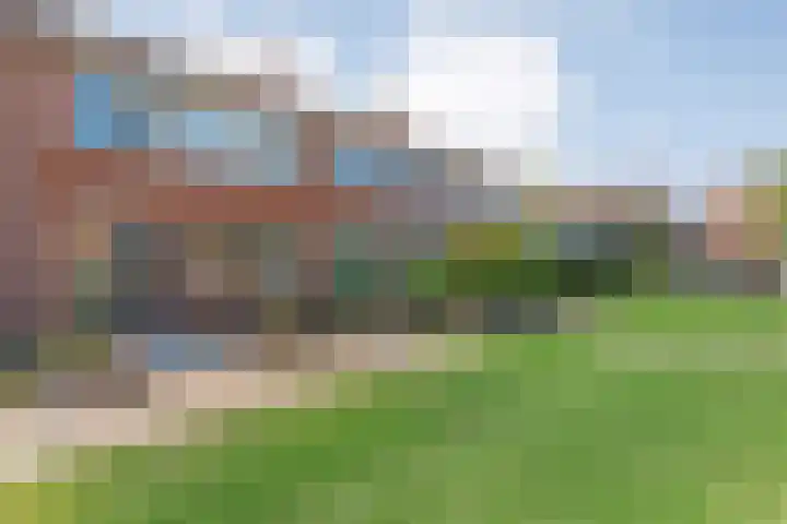 Nachtegaalstraat 22 Hardenberg thumbnail 5