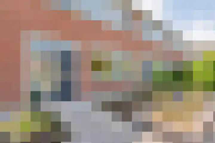 Nachtegaalstraat 22 Hardenberg thumbnail 6