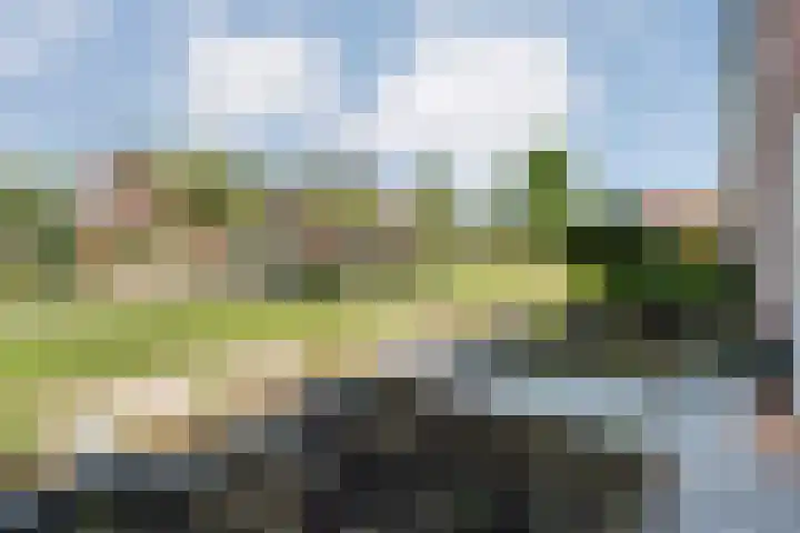 Nachtegaalstraat 22 Hardenberg thumbnail 7