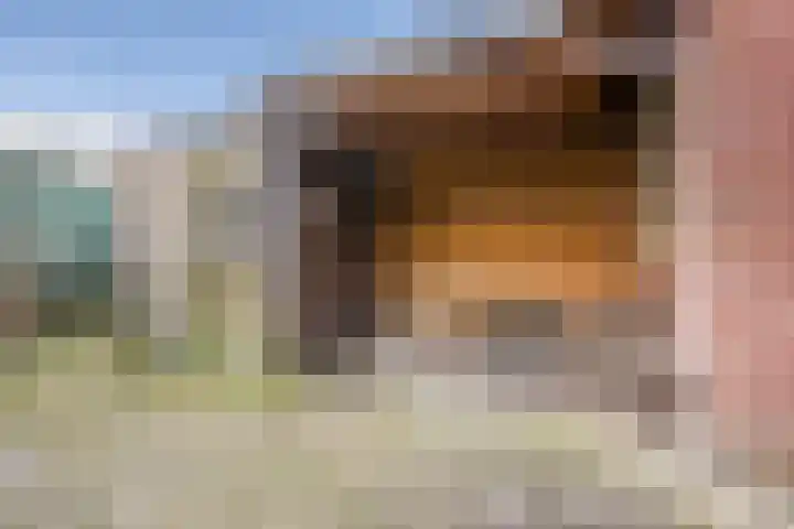 Nachtegaalstraat 23 Haarlem thumbnail 15