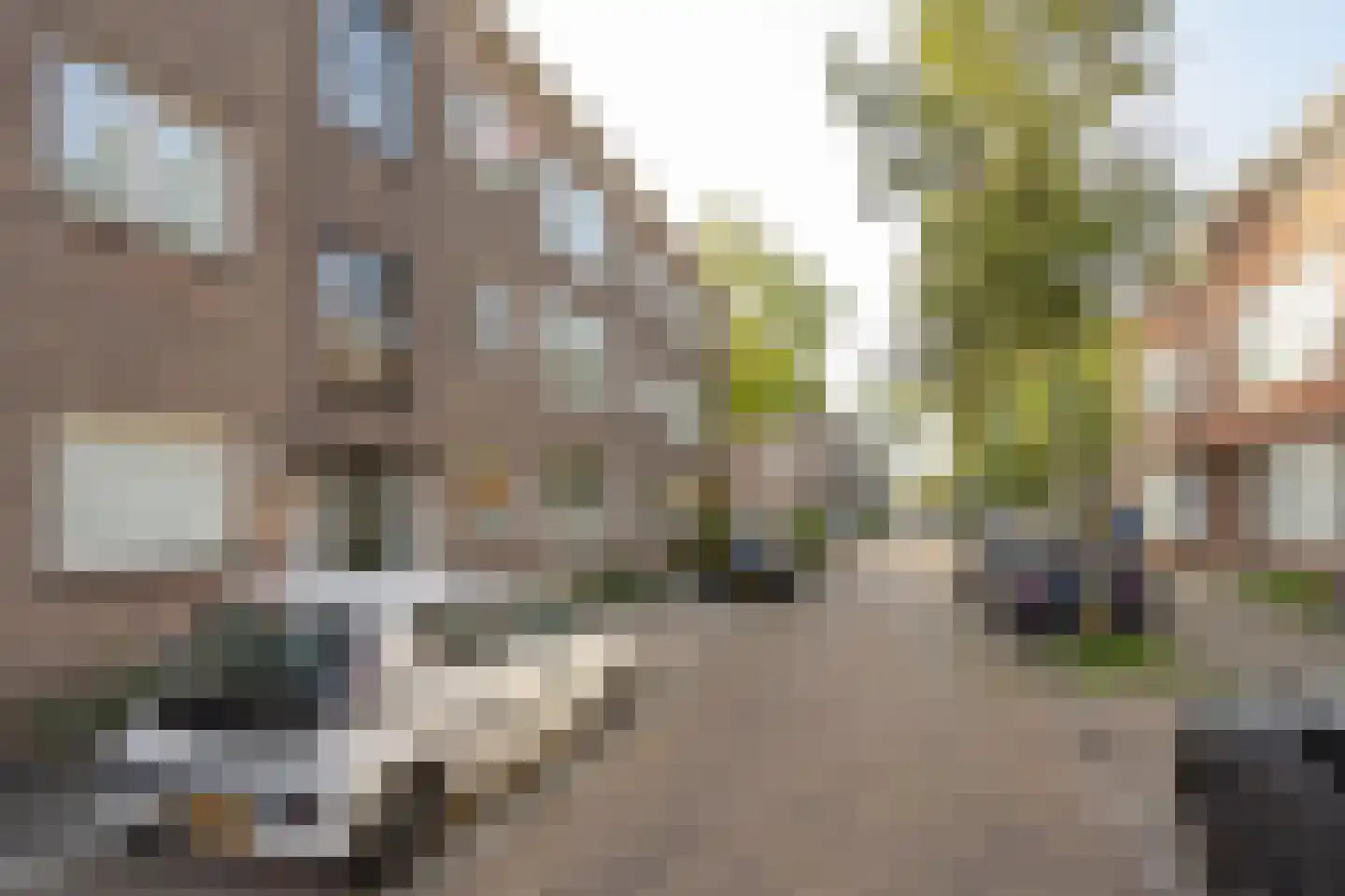 Nachtegaalstraat 24 C Rotterdam thumbnail 22
