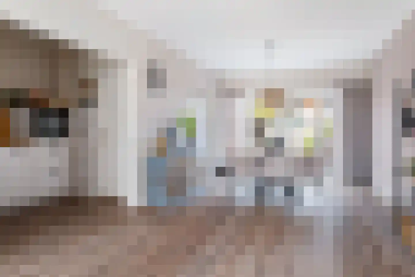 Nachtegaalstraat 27 Drachten thumbnail 11