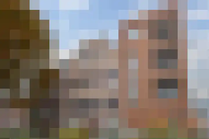 Nachtegaalstraat 29 D Zwolle thumbnail 33