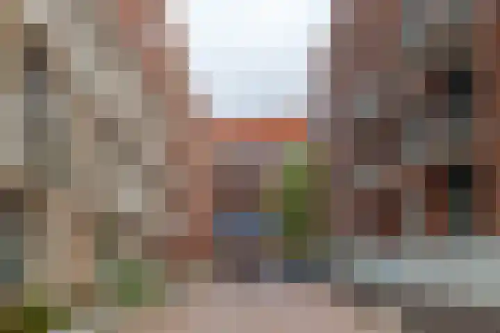Nachtegaalstraat 29 D Zwolle thumbnail 34