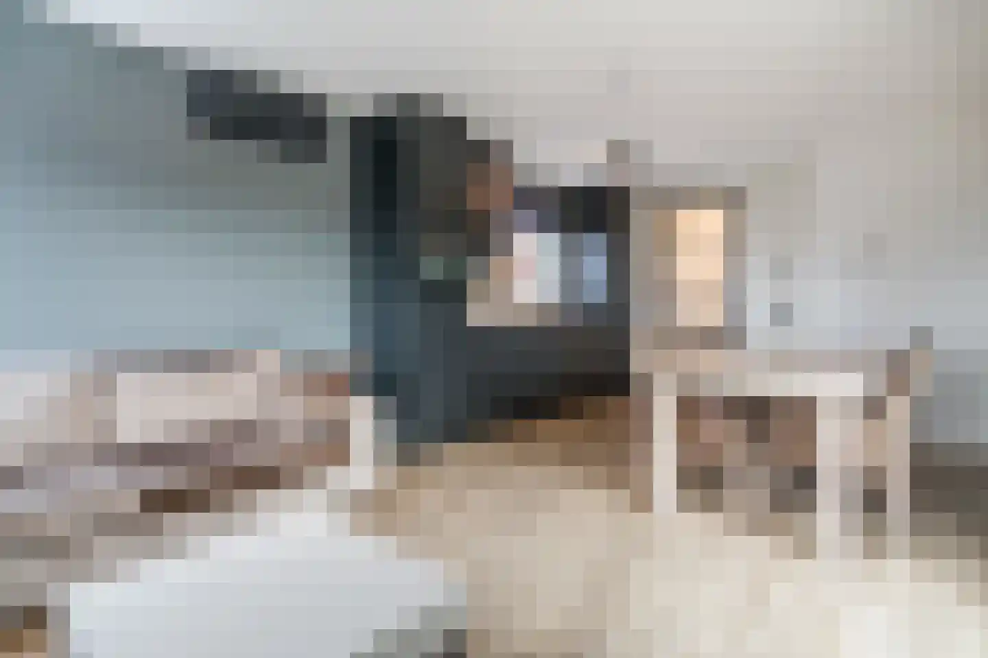 Nachtegaalstraat 29 H Zwolle thumbnail 8