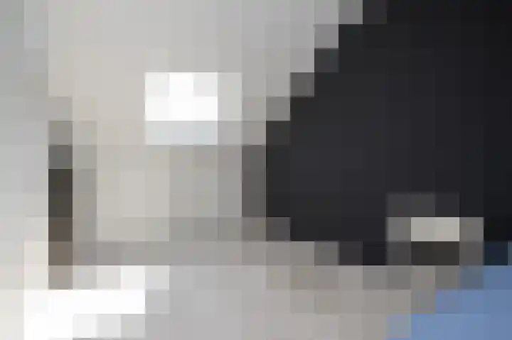 Nachtegaalstraat 29 Sommelsdijk thumbnail 24