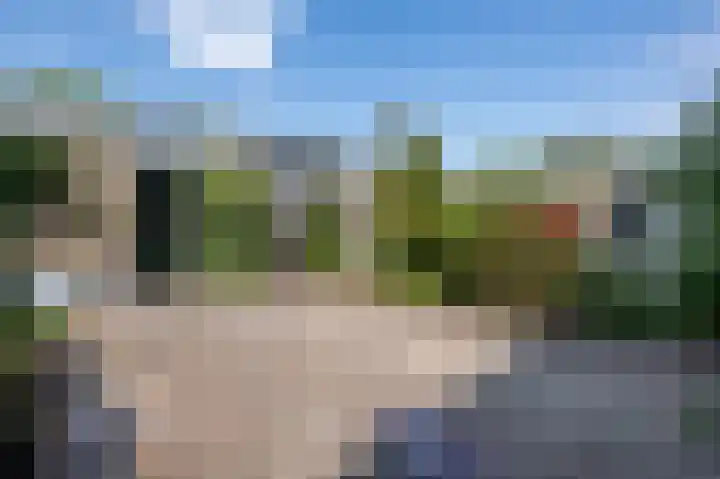 Nachtegaalstraat 29 Sommelsdijk thumbnail 27