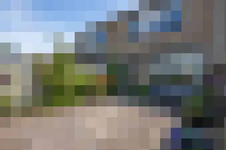 Nachtegaalstraat 29 Sommelsdijk thumbnail 28