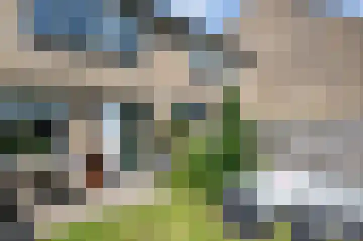 Nachtegaalstraat 29 Sommelsdijk thumbnail 29