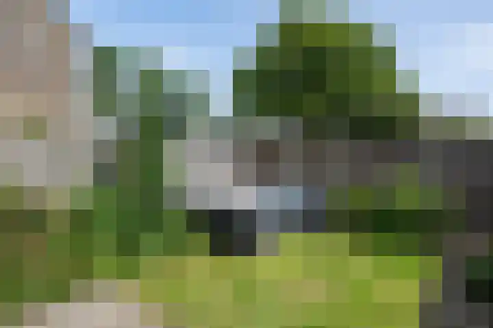 Nachtegaalstraat 29 Sommelsdijk thumbnail 30