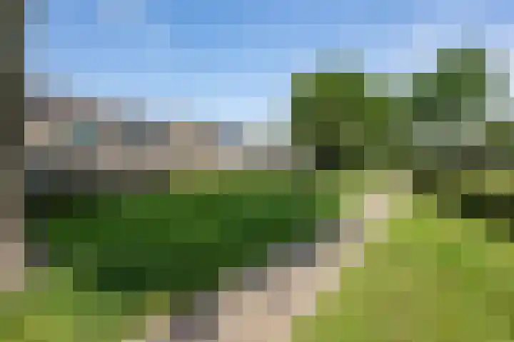 Nachtegaalstraat 29 Sommelsdijk thumbnail 5