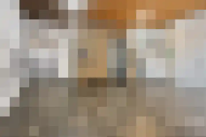 Nachtegaalstraat 3 F Zwolle thumbnail 12