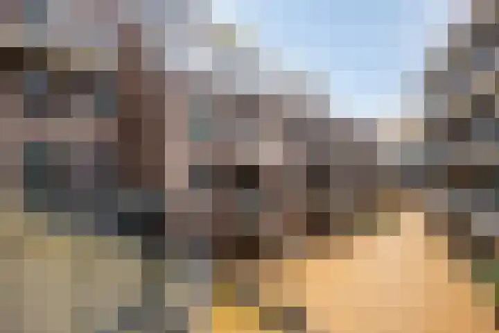 Nachtegaalstraat 3 F Zwolle thumbnail 13
