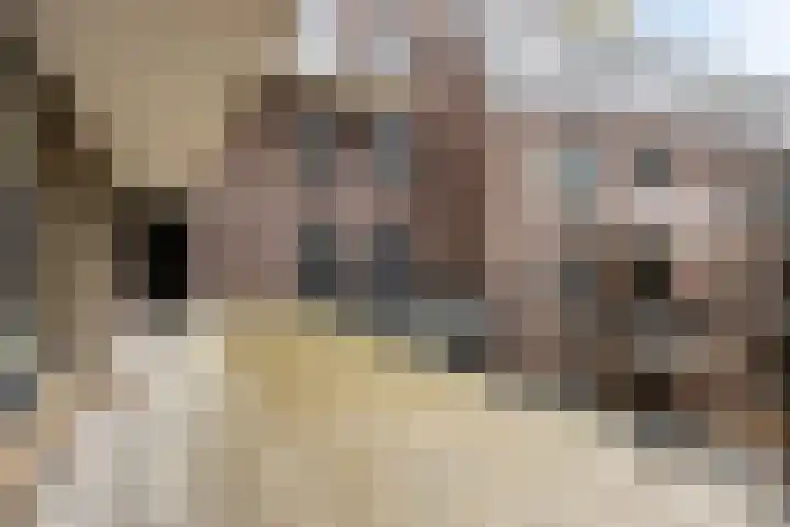 Nachtegaalstraat 3 F Zwolle thumbnail 14