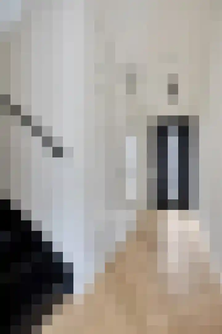Nachtegaalstraat 3 F Zwolle thumbnail 16