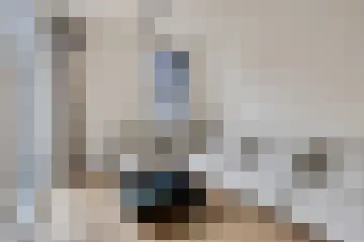Nachtegaalstraat 3 F Zwolle thumbnail 19