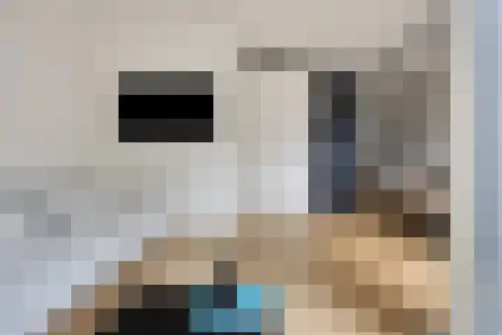 Nachtegaalstraat 3 F Zwolle thumbnail 20