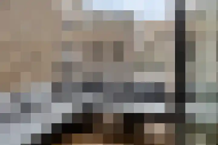 Nachtegaalstraat 3 F Zwolle thumbnail 22