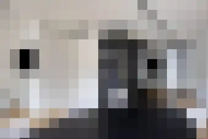 Nachtegaalstraat 3 F Zwolle thumbnail 24