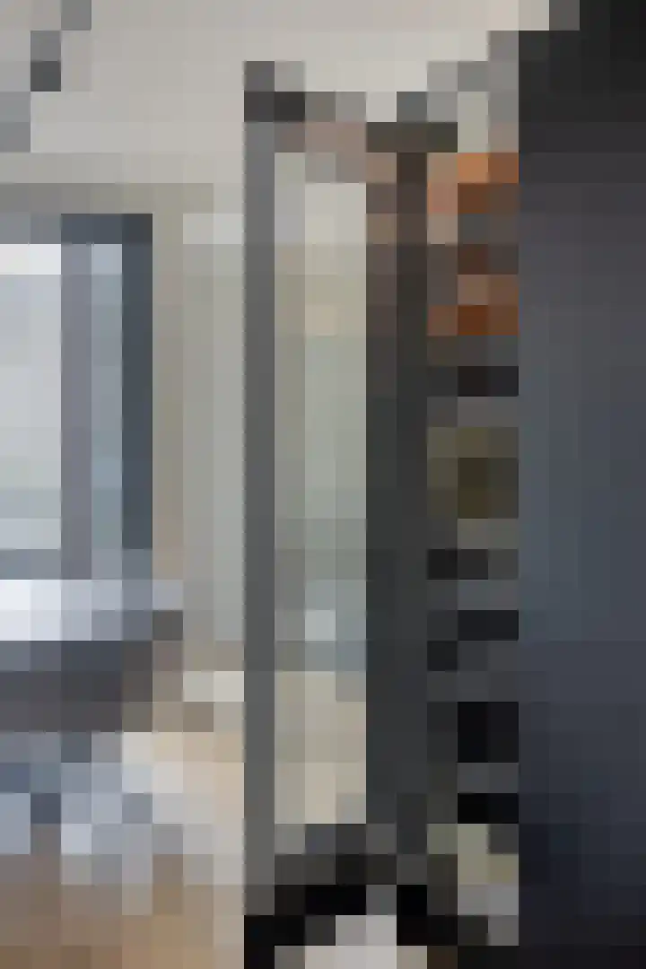 Nachtegaalstraat 3 F Zwolle thumbnail 28