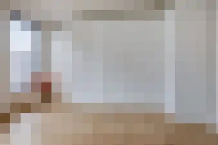 Nachtegaalstraat 3 F Zwolle thumbnail 32