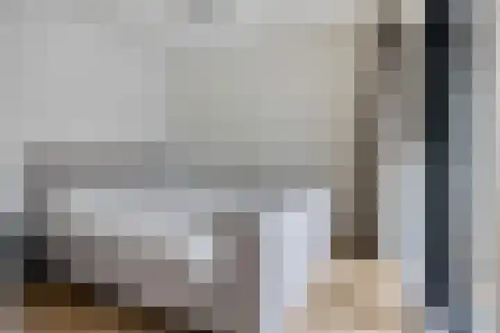 Nachtegaalstraat 3 F Zwolle thumbnail 33