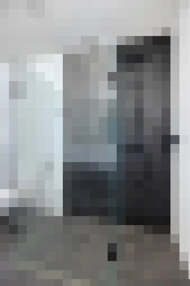 Nachtegaalstraat 3 F Zwolle thumbnail 37