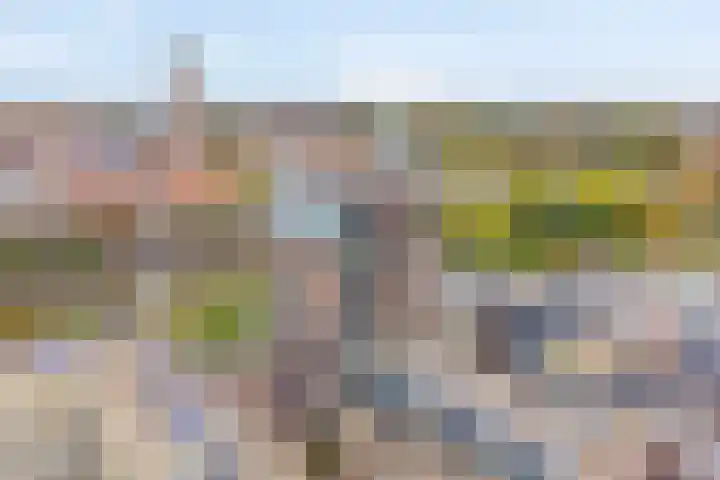 Nachtegaalstraat 3 F Zwolle thumbnail 4