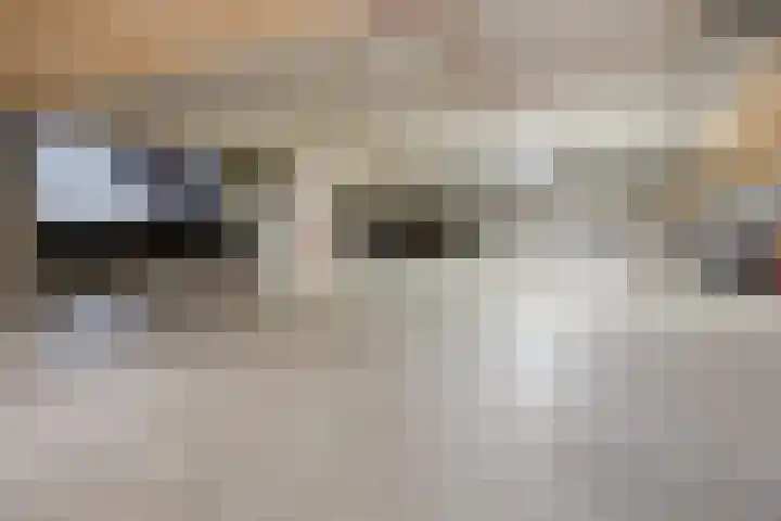 Nachtegaalstraat 3 F Zwolle thumbnail 43