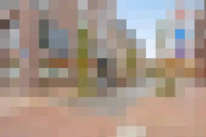 Nachtegaalstraat 3 F Zwolle thumbnail 45