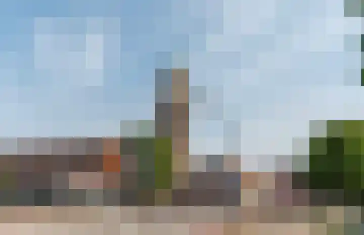 Nachtegaalstraat 3 F Zwolle thumbnail 47