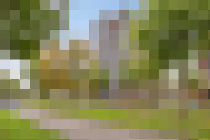 Nachtegaalstraat 3 F Zwolle thumbnail 55