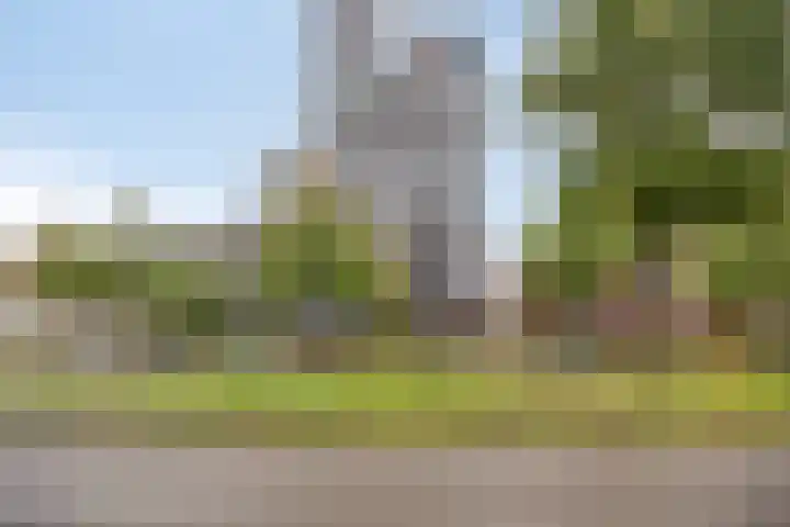 Nachtegaalstraat 3 F Zwolle thumbnail 6