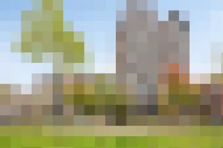 Nachtegaalstraat 3 F Zwolle thumbnail 7