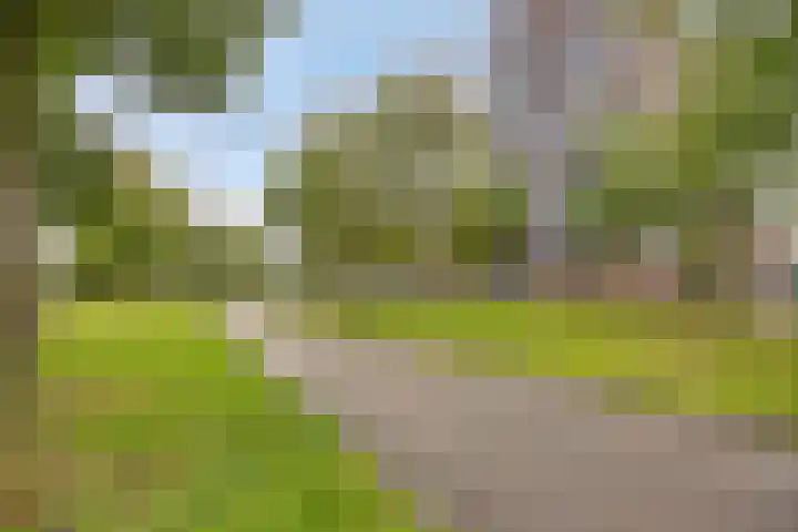 Nachtegaalstraat 3 F Zwolle thumbnail 8