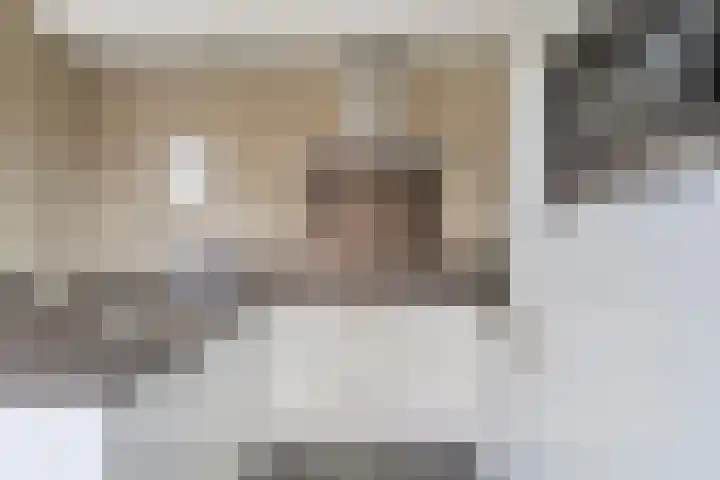 Nachtegaalstraat 3 Mill thumbnail 10